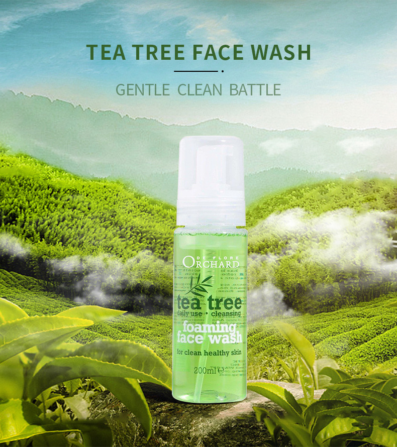 茶树洗面奶--内页-(1)