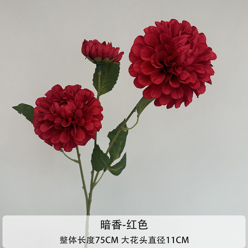 다크 향수-레드