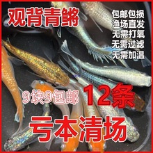 �^�����F�~�Ѷ����w�^�p�~��ˮ�~��ˮ�~���������B���w���]�ŷ���