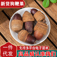 精选新货广西狗鞭果毛毛果猪仔粒泡酒中药材风流果锁阳
