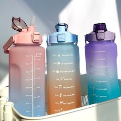 Sports water bottle for women, summer large capacity straw plastic cup portable high-end large sanding PC space cup wholesale
