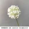 [New Product] Second Generation Lollipop Hydrangea White