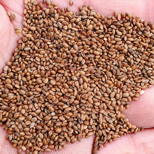 JҷN JҘN tīJ tJ 殐