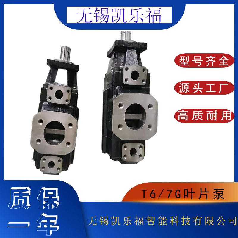 装载机油泵T6GCC-B08-B05,T6GCC-B08-B03压塑机油泵