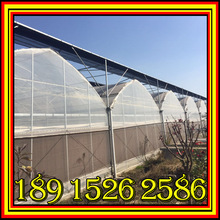 BֳNֲǼ ȫ䓼B߲ ůҴǼ