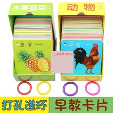 教卡水果卡片婴儿图册图片0-3岁幼儿识字识物早宝宝认识动物早教