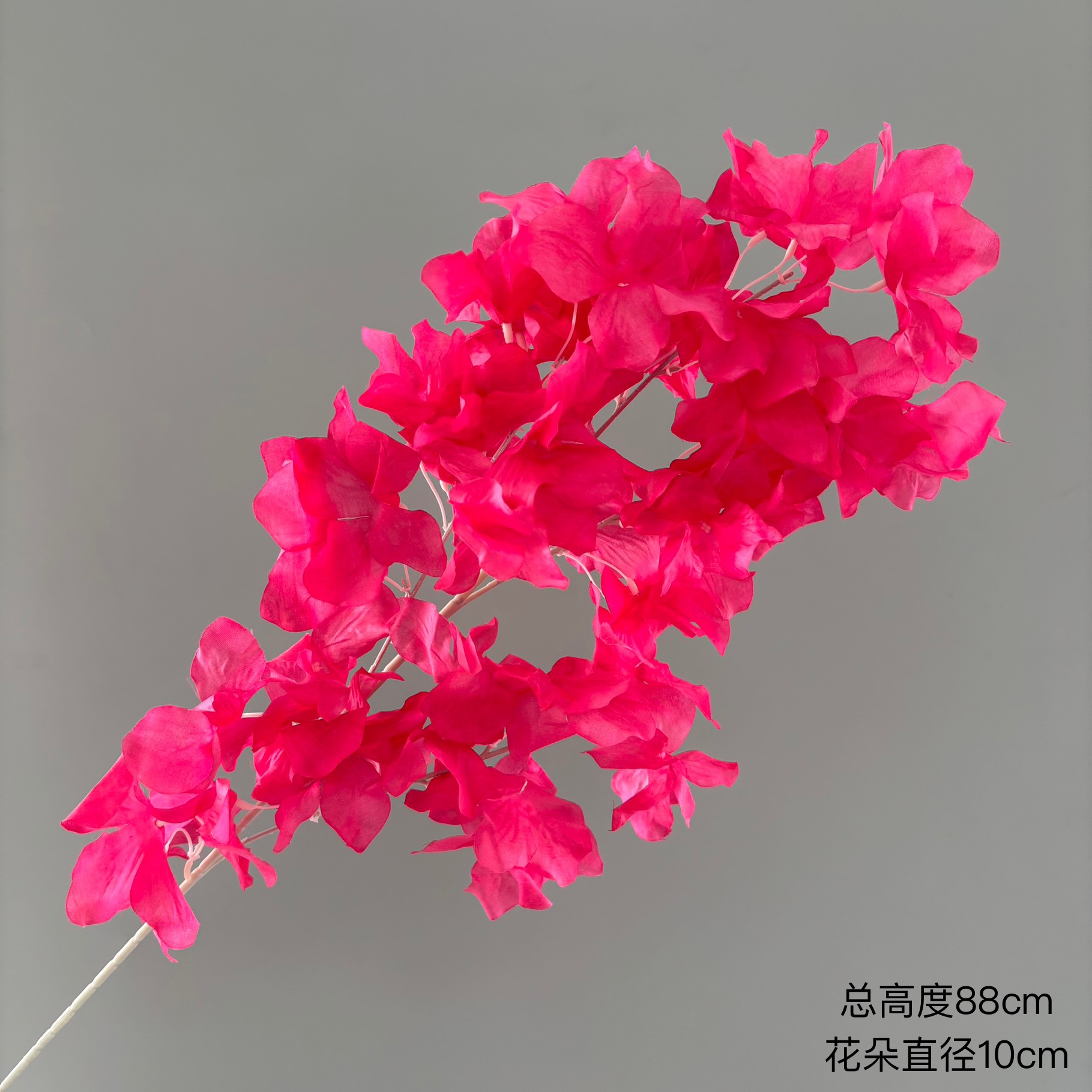 로즈 레드
