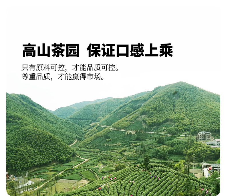 嘉木白茶单罐125克790_05