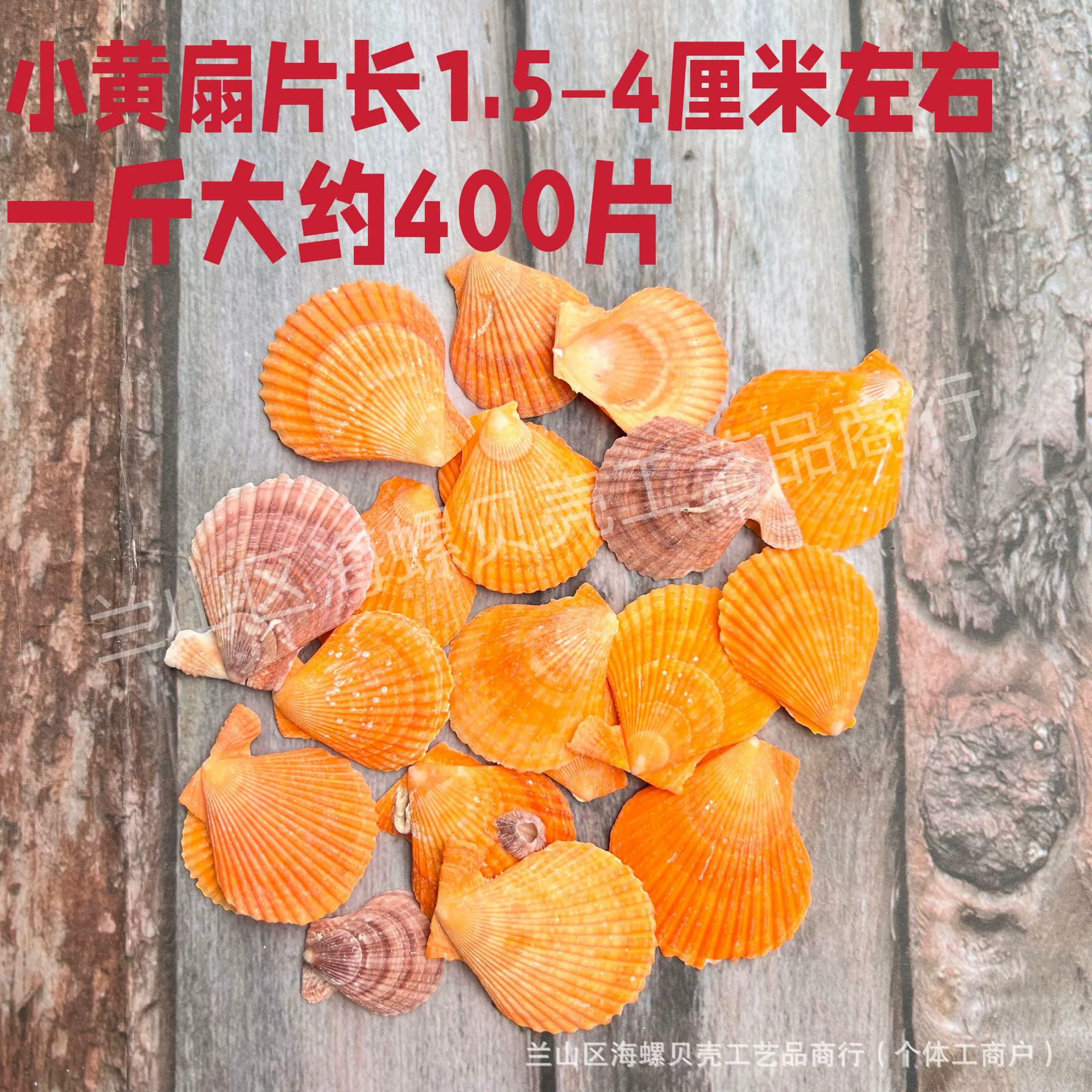Shell Natural Shell Conch Stars Drifting Bottle Shell Crafts Wholesale Diy Handmade Shell Materials