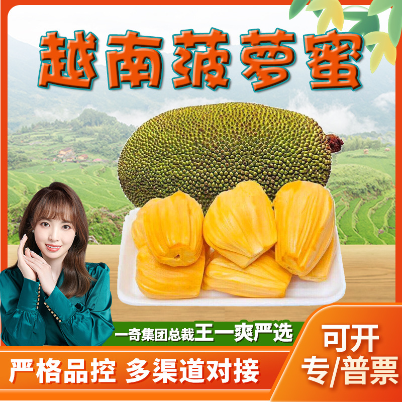 【严选】越南红肉菠萝蜜代发10斤新鲜当季老树波罗蜜整个孕妇水果