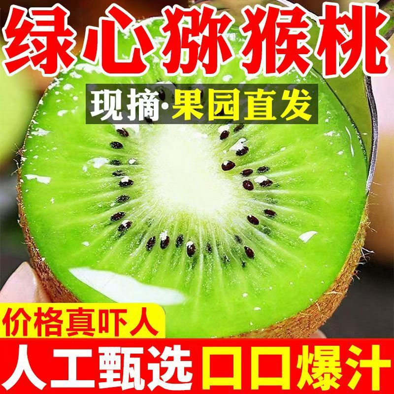 【Direct from the Orchard】Authentic First Crop Green Kiwi Fruit, Large Kiwi Fruit, Fresh Seasonal Fruit for Pregnant Women, Wholesale