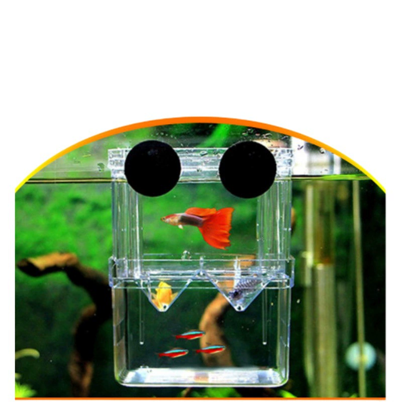 Акриловая изолирующая коробка для аквариума двухслойная инкубирующая коробка павлина декоративная коробка для разведения рыб Коробка Douyu