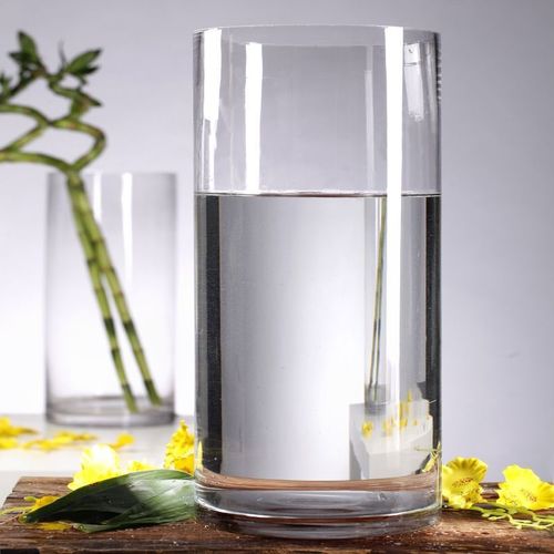 Monstera vase large diameter wide mouth glass vase transparent extra large flower arrangement rich bamboo cylindrical direct sales