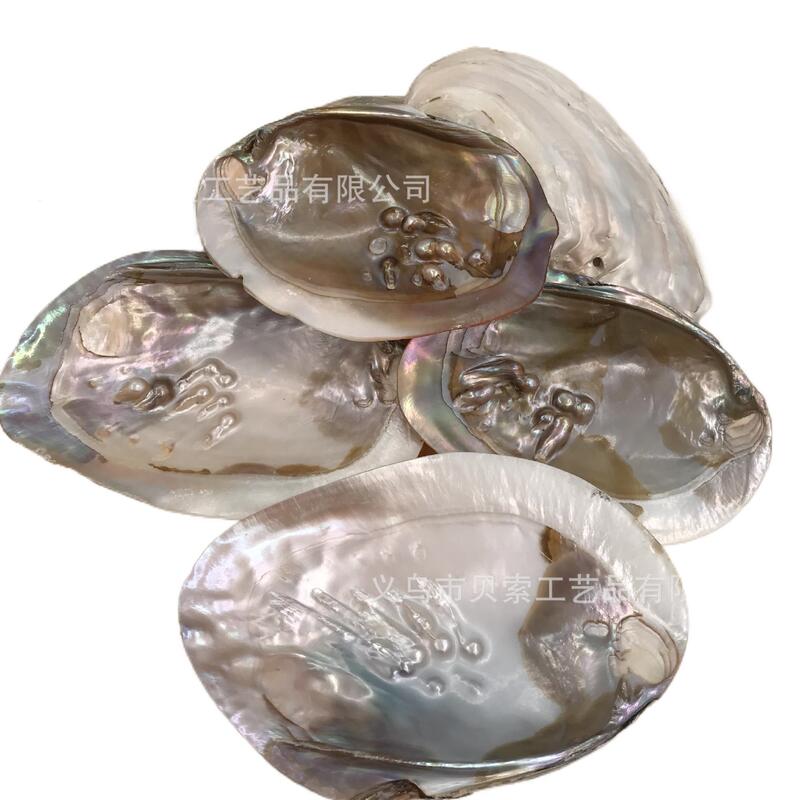 Research wholesale freshwater pearl river clam shell conch pearl clam shell polishing jewelry crafts raw materials