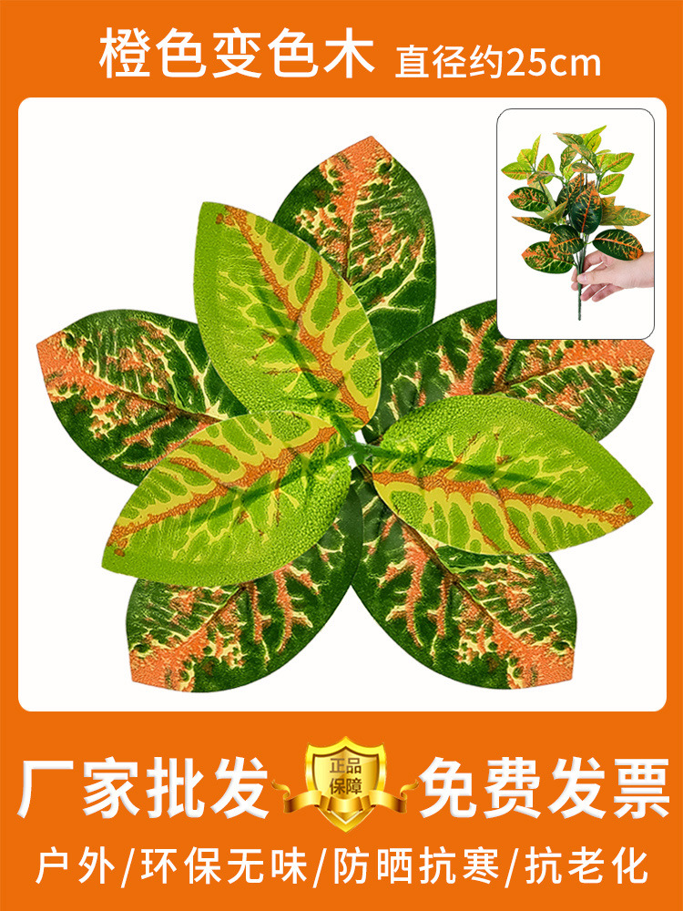 Madera decolorada naranja