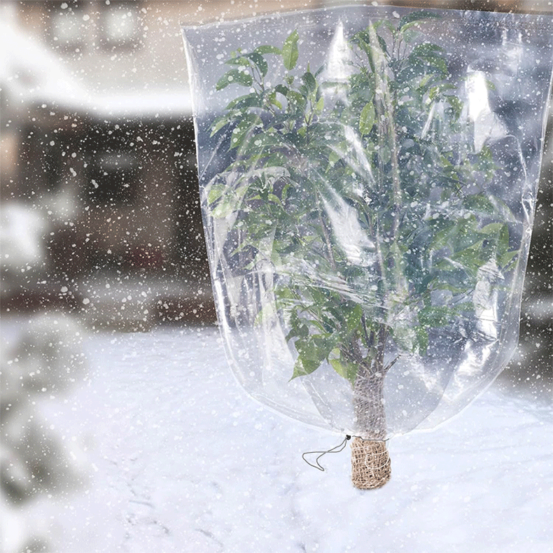 未标题-2_10.gif