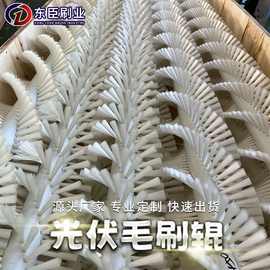 厂家供应光伏太阳能毛刷 全自动清洗机毛刷辊 面板清洗毛刷批发