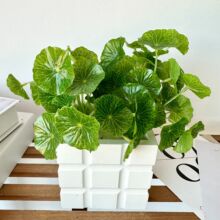 ��9�����Gֲ�~�X���҃ȼҾ��k�����zӡ���~�����Ԕ[�����S���l