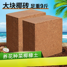 Ҭ�u�I�B���N��ͨ����Ó�}Ҭ����KҮ�u�����������B�������N���l