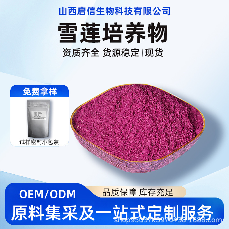 雪莲培养物小分子天山雪莲花粉食品级原料粉末启信生物