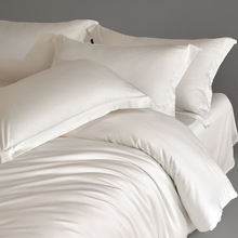 100s�L�q��ؕ�����׼�ɫ�p���H�w���m�μ��Ƶ��ļ��׬F�����s