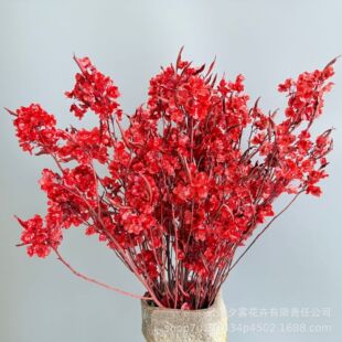 �tɫӭ�Ͷ��������������껨��������ϲ�c�͏d�b������