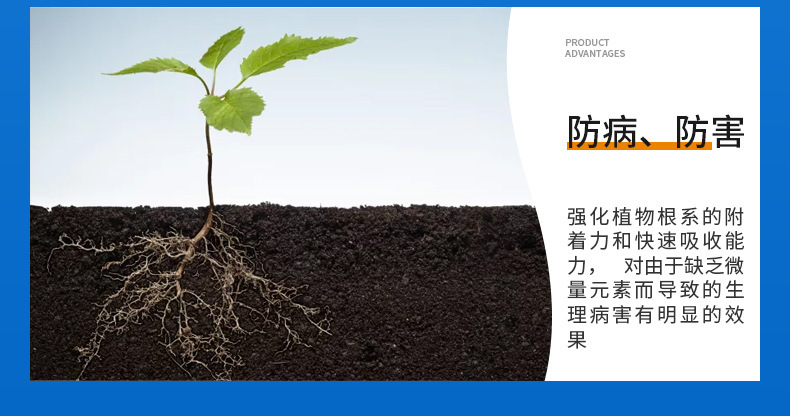 O1CN013ckeid20xa2IboCJH_!!2206