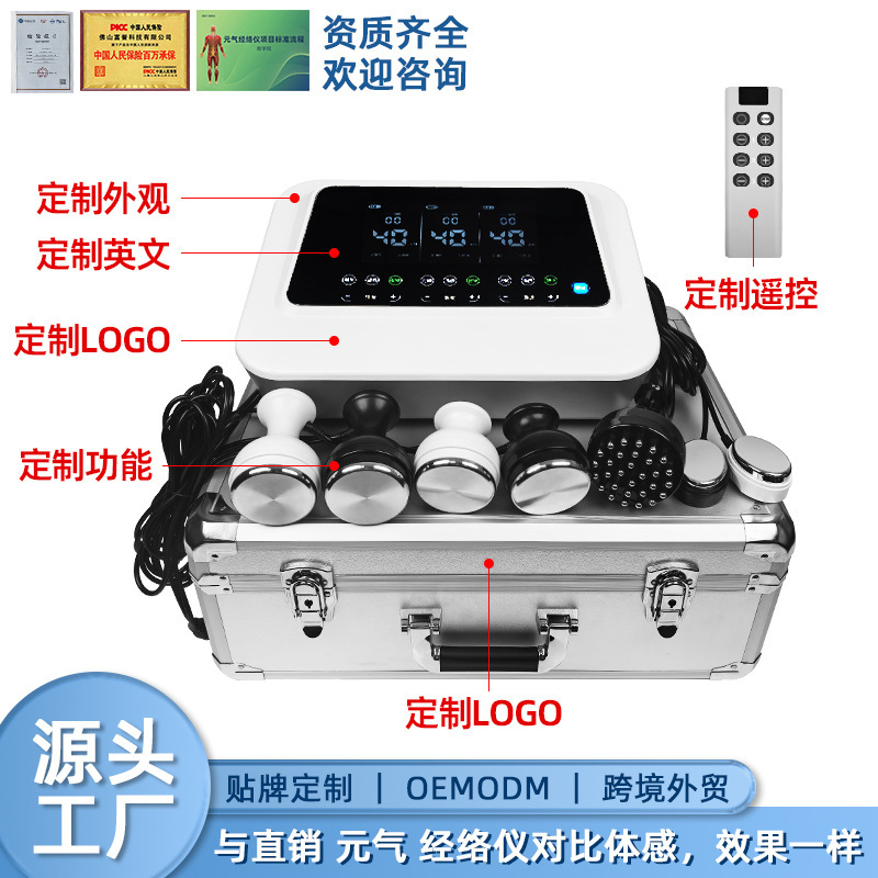元気植経絡器常青カササギ兄中国BIOGenQi三通大師灸導理治療成長物電|undefined