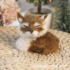 Sleeping Fox Right - Brown