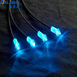 工艺装饰灯具;LED装饰灯;光源器