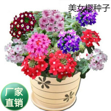 �������޸�����ɢ�b���~��Ů�ѷN�� ���˙� ������Ů�������l