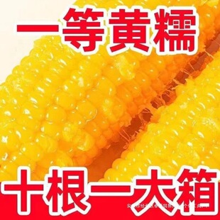 �|���SŴ������Ŵ��հ��bһ������״�����r��հ��b����ճ����