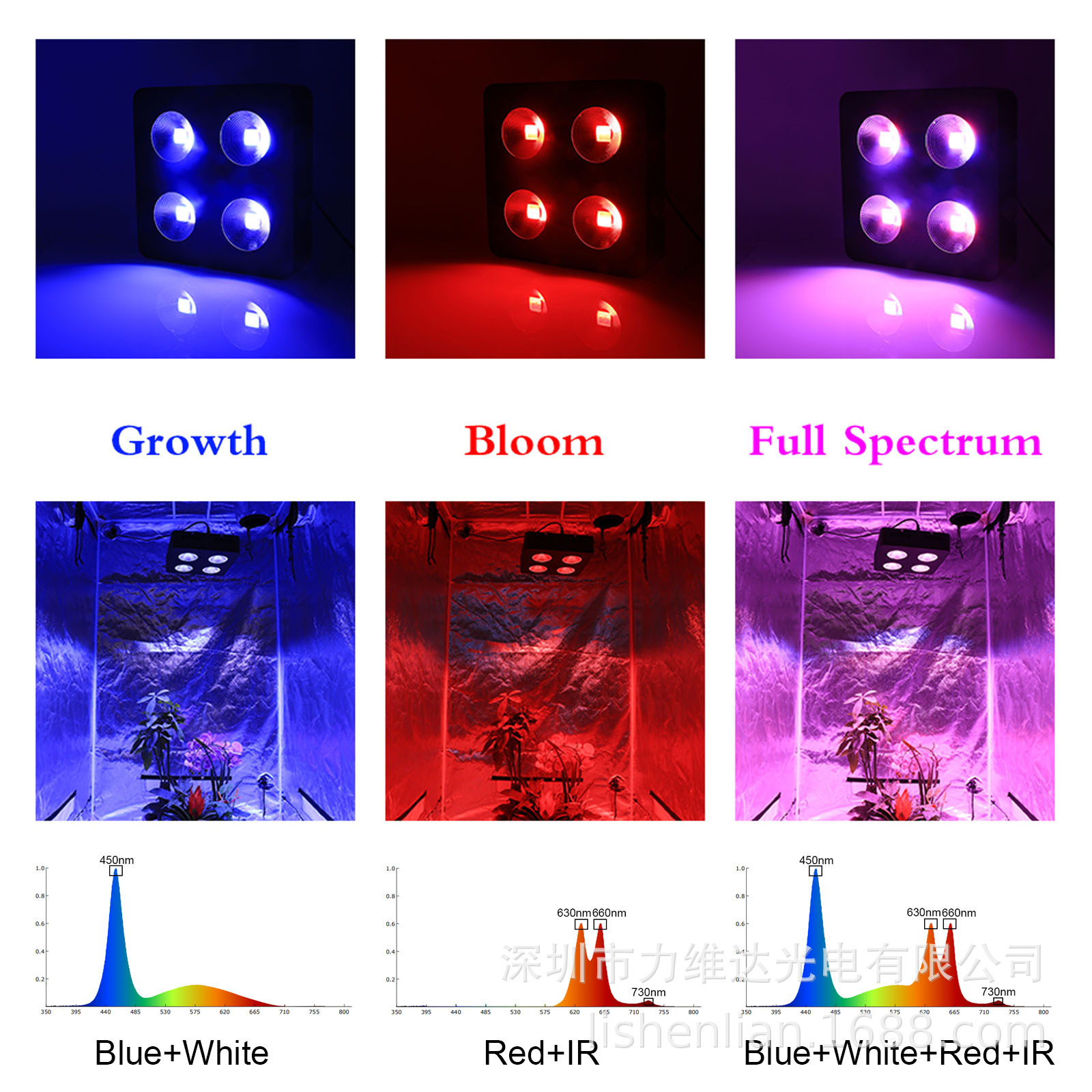 άCOBȫ1000wledֲVEG BLOOM˫شڲ