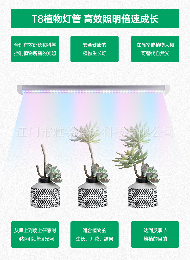 详情_04