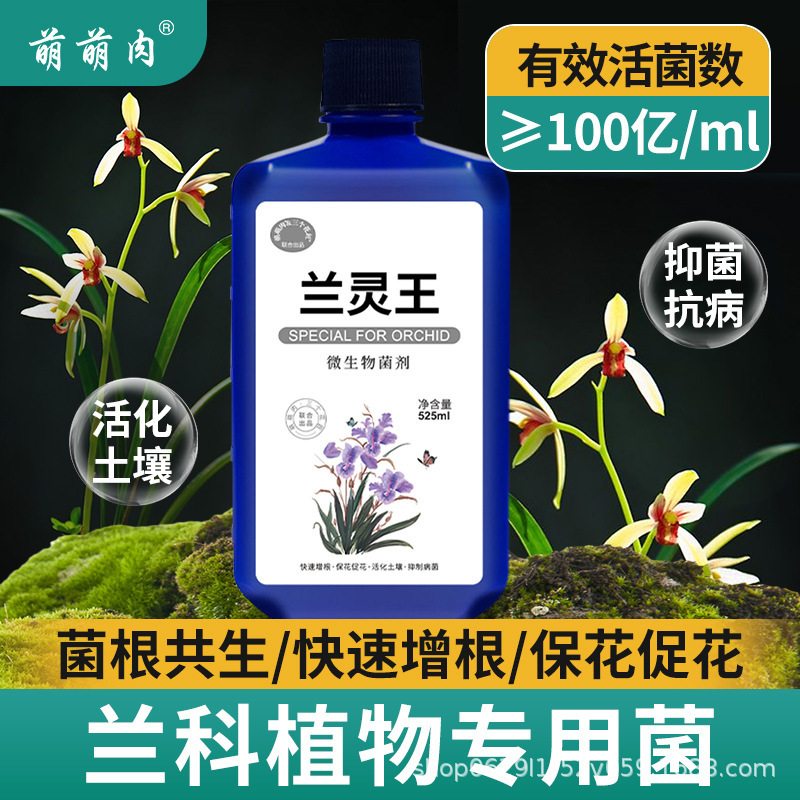 Lanling King Orchid Special Nutrient Solution Fertilizer Lanling King EM fungus Orchidaceae Phalaenopsis Moran Clivia Flower Promotion Solution