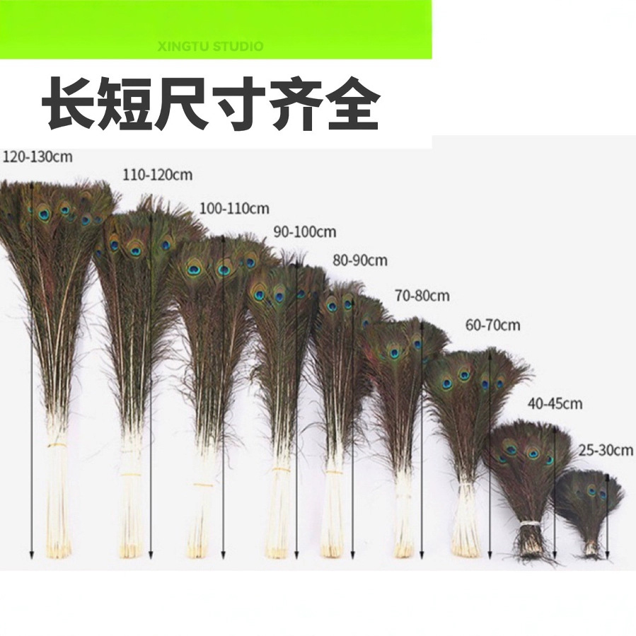 Fabricante suministro de 25 - 130cm plumas reales plumas al por mayor vasijas floral decoración de escenario plumas de pavo real