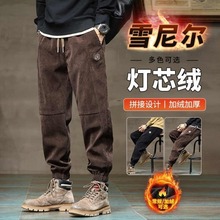 ��ɫ���e�lѝ�Ќ������_�\�ӹ���ѝ�ﶬ�����ӽq�Ӻ��о�q����ѝ