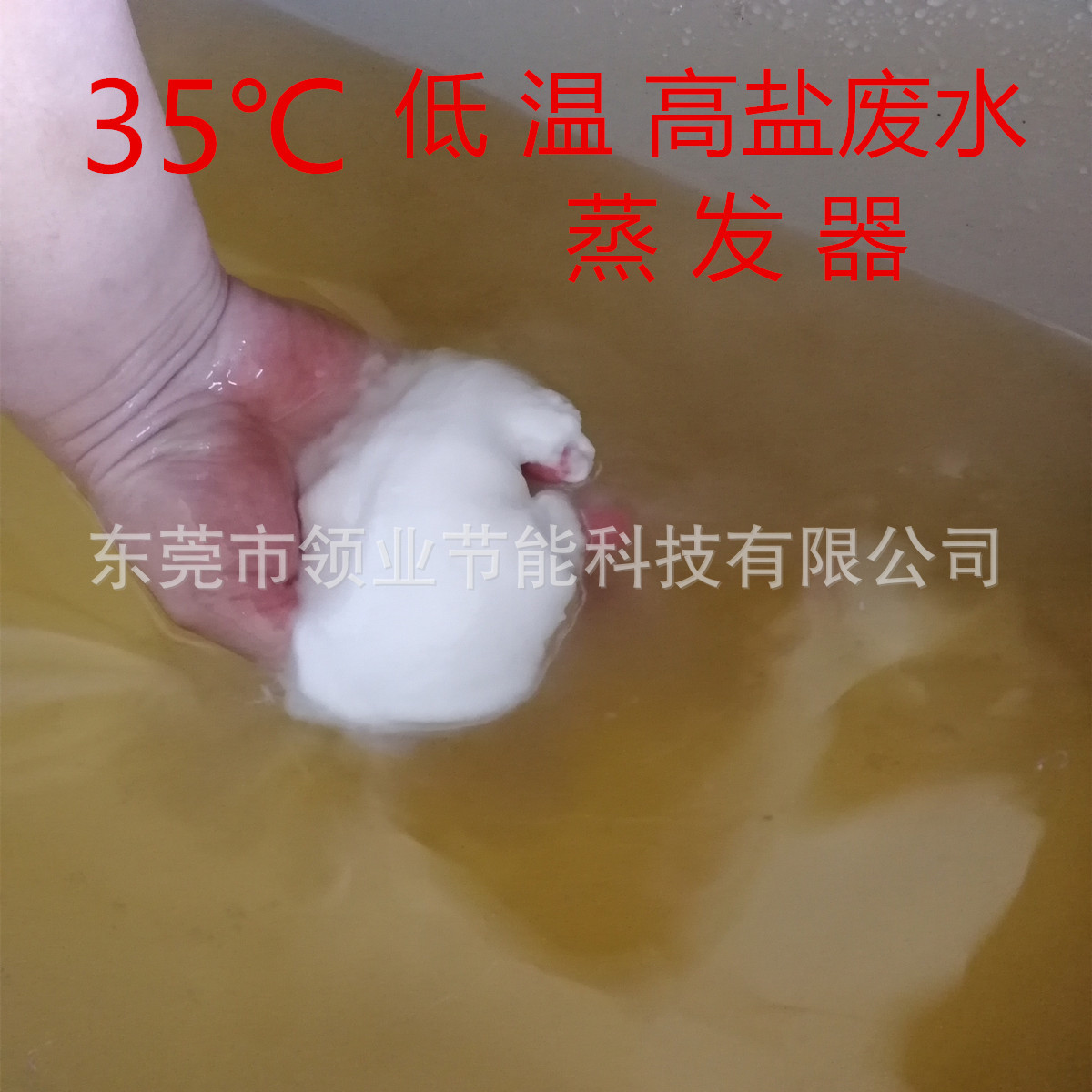 定制MVR母液 低温蒸发器 高盐废水蒸馏 干燥机    RO浓水蒸发设备