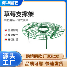 厂家直销草莓架盆栽栽培架植物爬藤支柱草莓种植支架家庭园艺支架