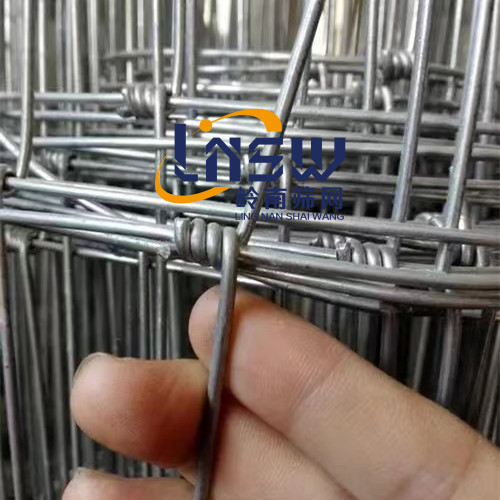 专业批发热镀锌钢丝养殖牛栏网草原牧场围栏网 养鹿网环形围栏网