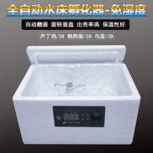 孵化器小型家用迷你孵化机全自动智能鸡鸭鹅鸽蛋保温箱水床孵蛋器