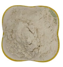 �~Ϟʯ�V �S�ҹ����մ� �T�� �ͻ���� ���z��ȼ���� �~Ϟʯ��