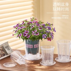 国境を越えた蘭植木鉢蝶蘭植木鉢の根をコントロールする鉢透明青山盆文心蘭盆透明プラスチック通気植木鉢