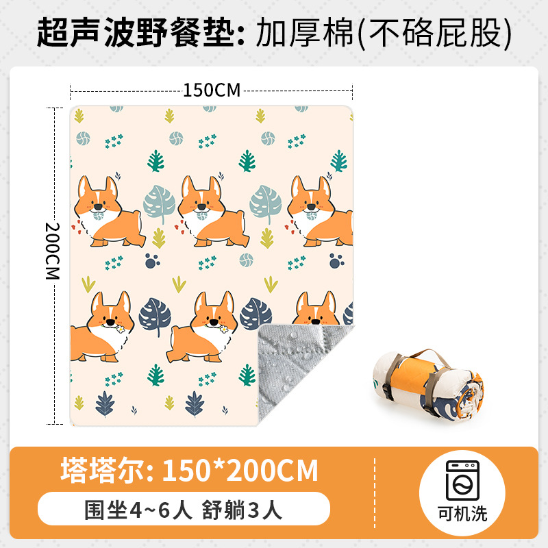 200*150 코기