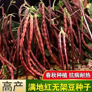 �t�M�ؼt�o�ܶ��N�Ӽt�l����t�����N�ѼҷN�ļ����Ǳⶹ�߲���