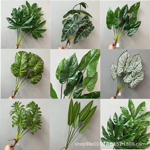 �����ָа����^�z���~Ƭ�Gֲ�˽��~ �����~ �^���~ �t���~ ���~