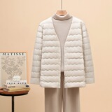 Демисезонный бархатный длинный пуховик, удерживающий тепло вкладыш, утиный пух, средней длины, по фигуре, V-образный вырез