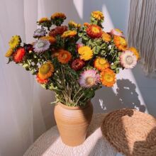 雏菊干花花束客厅摆设装饰摆件拍摄道具云南天然真花ins永生插花