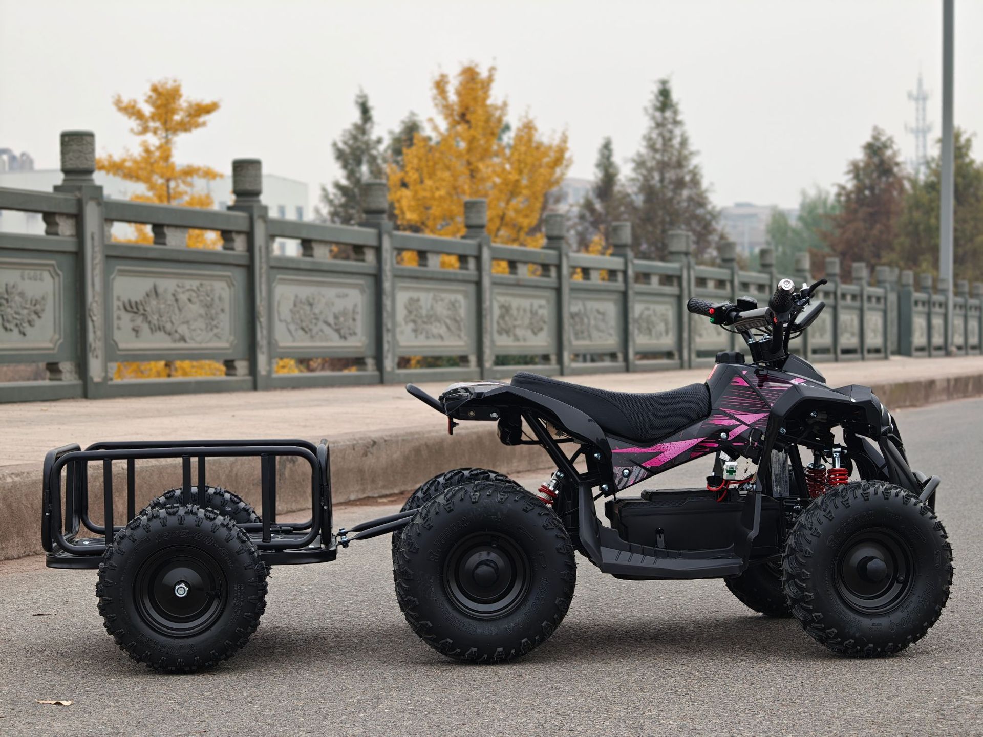 Small Overlord ATV Beach Motorcycle All-Terrain Vehicle Electric Scooter