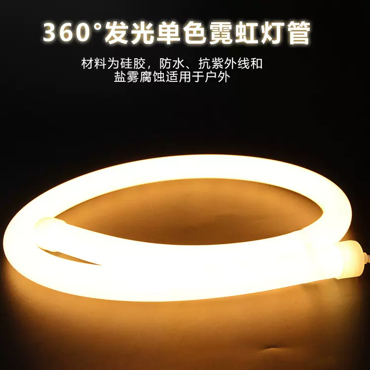 厂家直销支持定制硅胶柔性LED霓虹灯管直径22mm
